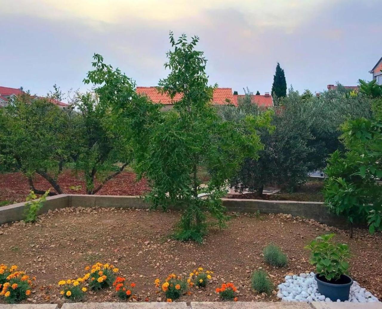 New Apartment Roko Zvekovica -Cavtat,Near Dubrovnik Airport Dış mekan fotoğraf